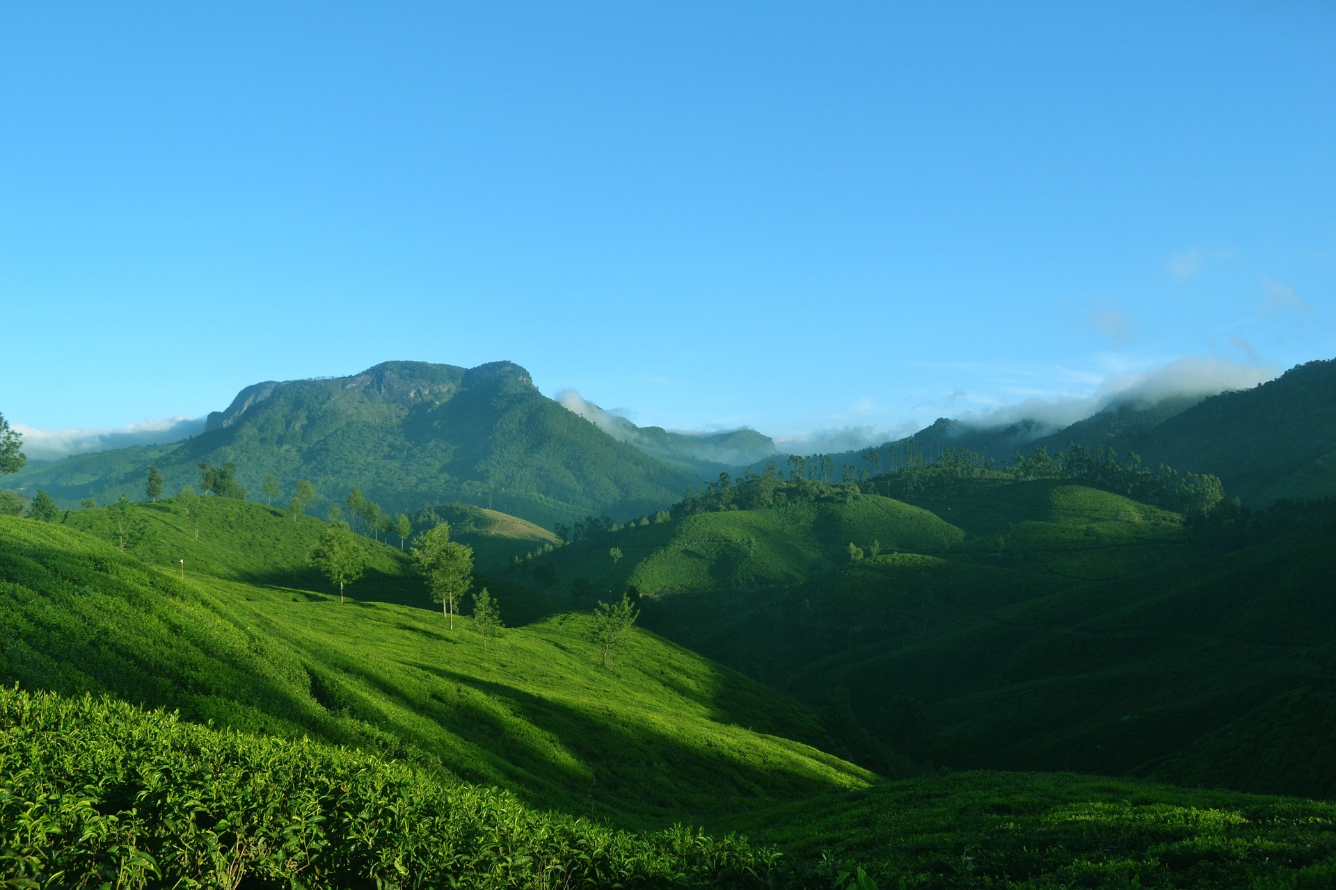 Munnar