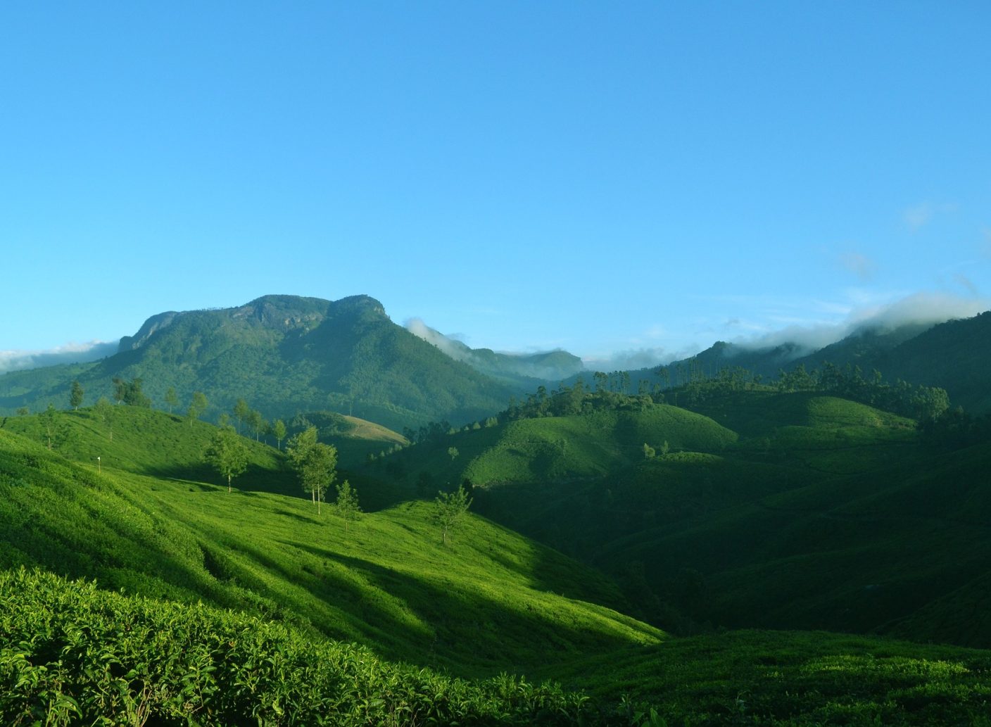 munnar-gc505e02f3_1920